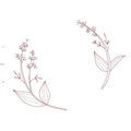 Fijne bloemillustraties met delicate details en blaadjes